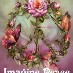 Meet your Posher, Claire